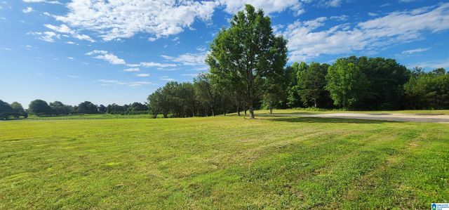 3606 HICKS ROAD, Oneonta, AL 35121