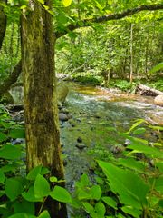 869 Stinson Lake Road, Rumney, NH 03266