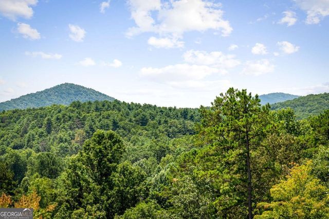 90 Fox Run 78, Blue Ridge, GA 30513