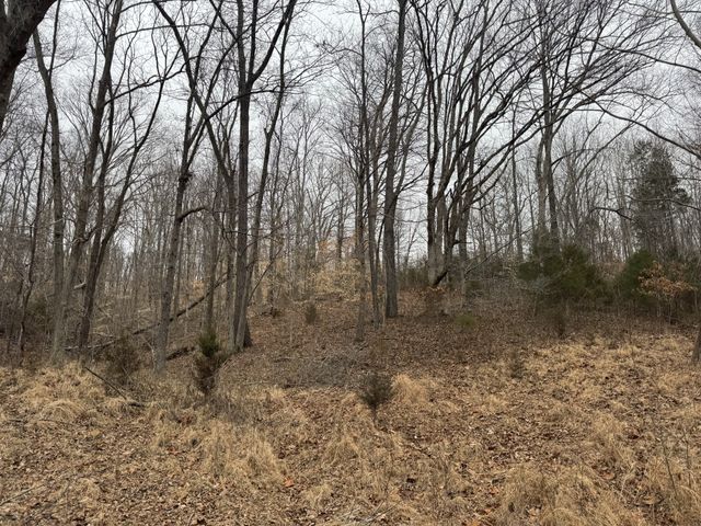 2250 Indian Creek Rd, Mc Ewen, TN 37101