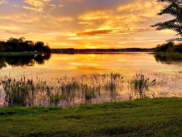 10230 LAKE DISTRICT LANE 37B, Orlando, FL 32832