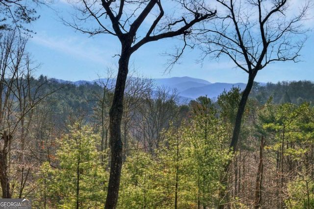 1183 Bear Paw Trail, Blue Ridge, GA 30513