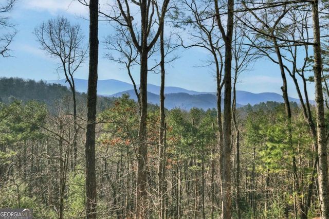 1183 Bear Paw Trail, Blue Ridge, GA 30513