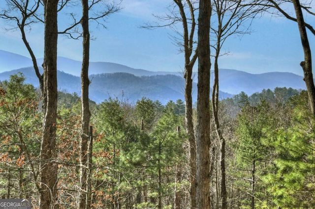 1183 Bear Paw Trail, Blue Ridge, GA 30513