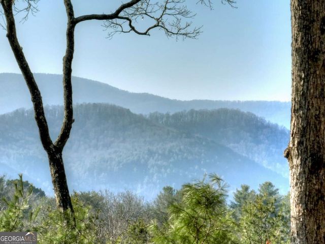 1183 Bear Paw Trail, Blue Ridge, GA 30513