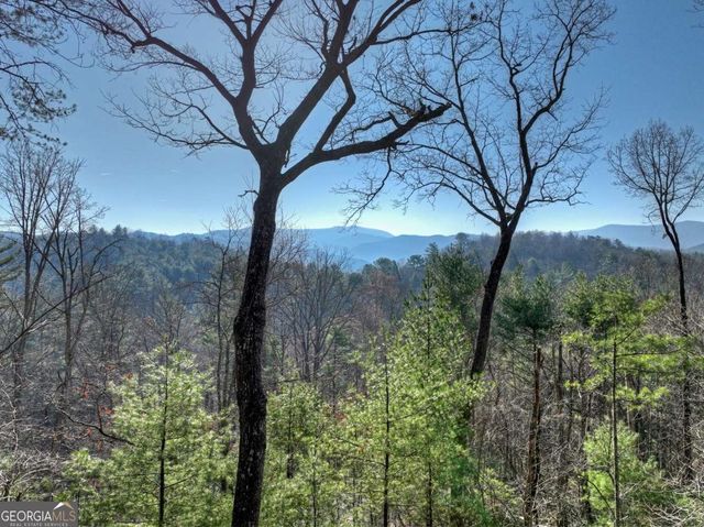 1183 Bear Paw Trail, Blue Ridge, GA 30513