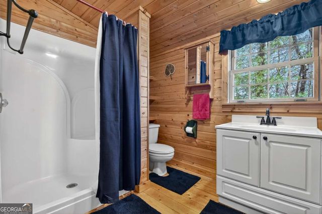 1183 Bear Paw Trail, Blue Ridge, GA 30513