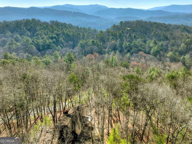 1183 Bear Paw Trail, Blue Ridge, GA 30513