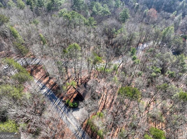 1183 Bear Paw Trail, Blue Ridge, GA 30513