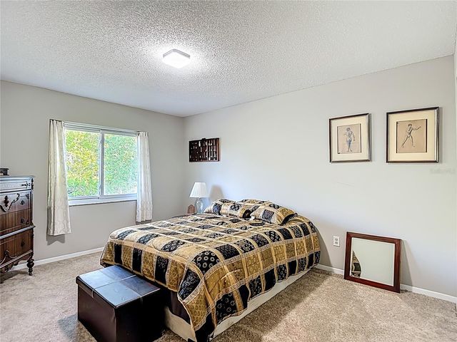 15110 NATUREWALK DRIVE, Tampa, FL 33624