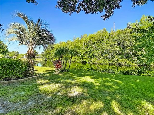 15110 NATUREWALK DRIVE, Tampa, FL 33624