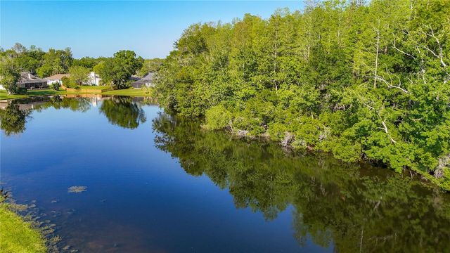 15110 NATUREWALK DRIVE, Tampa, FL 33624