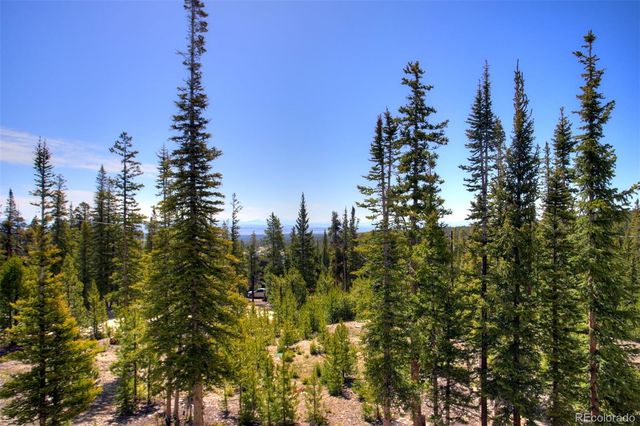 50 Puma Crossing, Fairplay, CO 80440