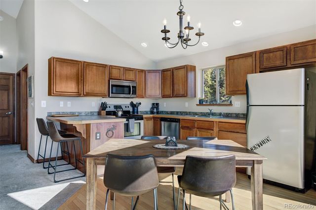 50 Puma Crossing, Fairplay, CO 80440