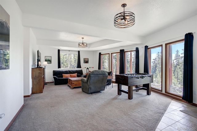 50 Puma Crossing, Fairplay, CO 80440