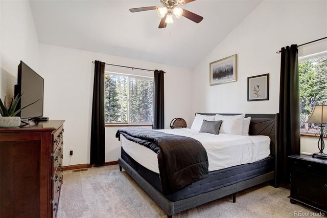50 Puma Crossing, Fairplay, CO 80440