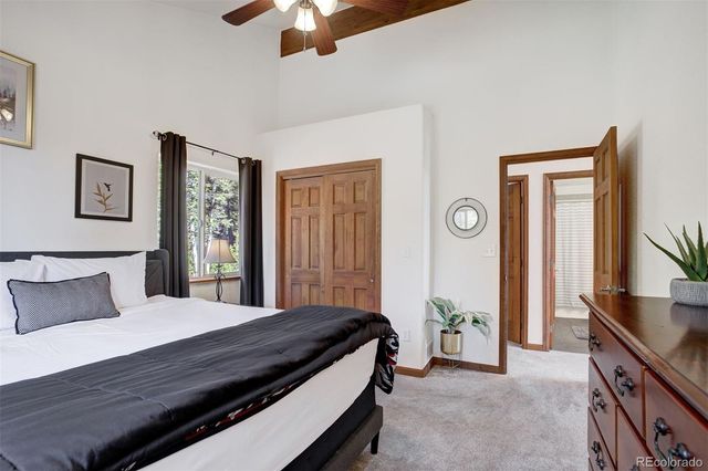 50 Puma Crossing, Fairplay, CO 80440