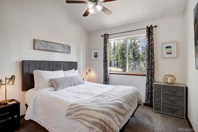 50 Puma Crossing, Fairplay, CO 80440