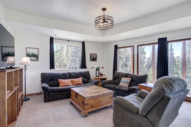 50 Puma Crossing, Fairplay, CO 80440