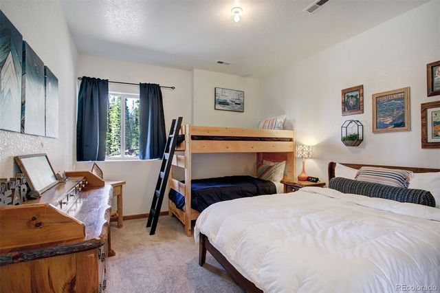 50 Puma Crossing, Fairplay, CO 80440