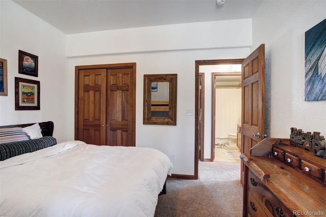 50 Puma Crossing, Fairplay, CO 80440