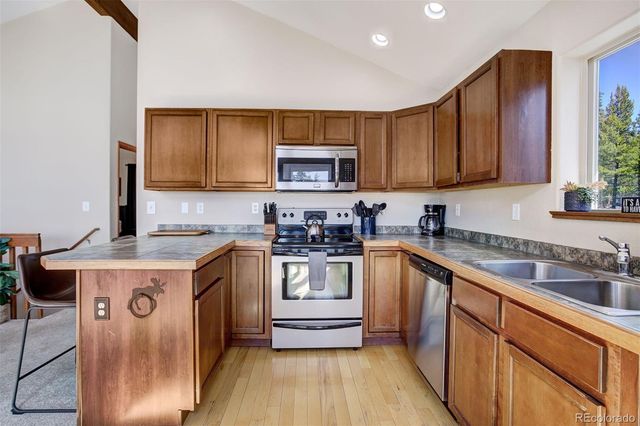 50 Puma Crossing, Fairplay, CO 80440