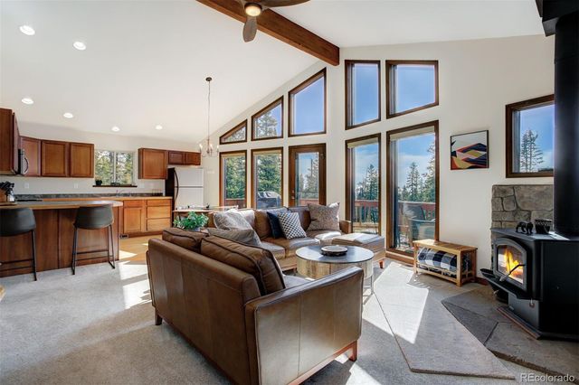 50 Puma Crossing, Fairplay, CO 80440