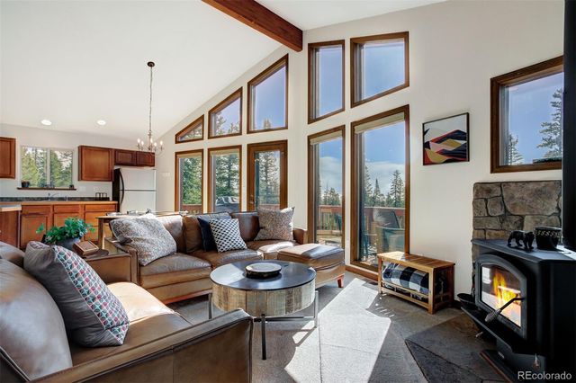 50 Puma Crossing, Fairplay, CO 80440