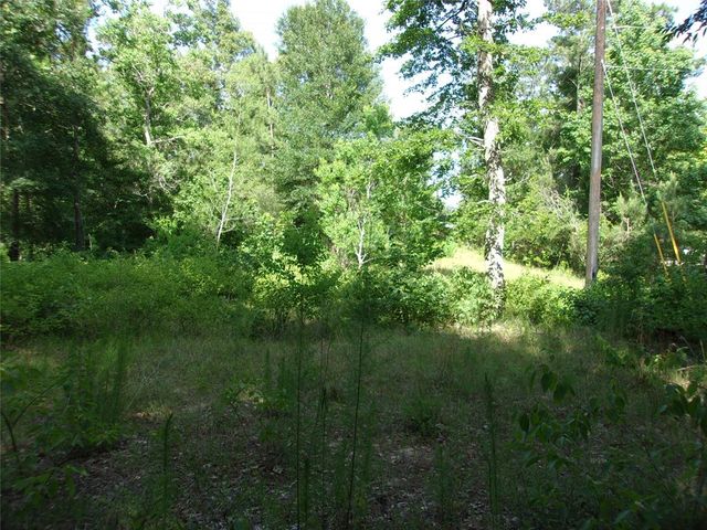 11535 Chestnut Court, Plantersville, TX 77363