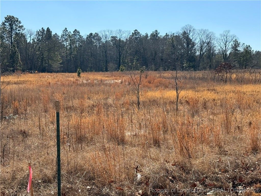 5745 Turnpike Road, Raeford, NC 28376 — photo 3