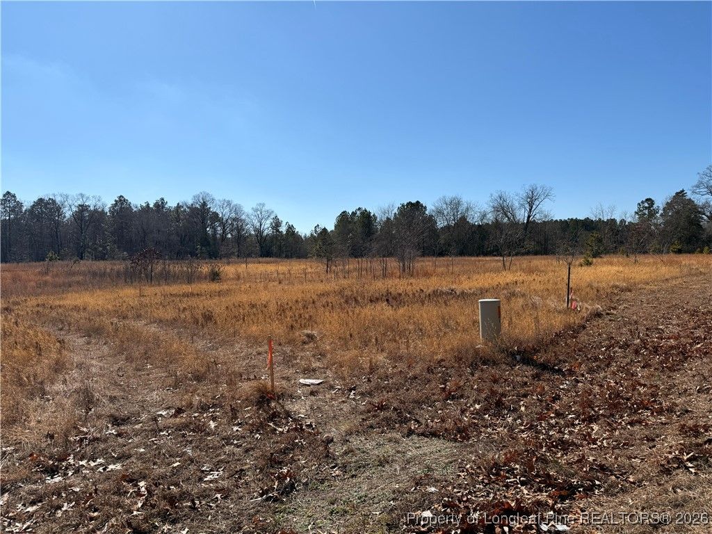 5745 Turnpike Road, Raeford, NC 28376 — photo 4