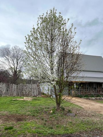 695 Summit Avenue, Mammoth Spring, AR 72554