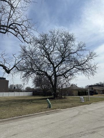 8003 S Oconto Avenue, Bridgeview, IL 60455