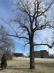 8003 S Oconto Avenue, Bridgeview, IL 60455
