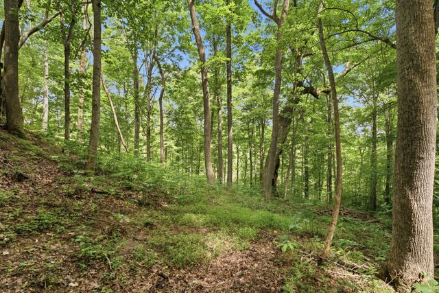 487 Rocky River Shores Drive, Rock Island, TN 38581