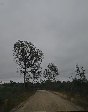 0 County Road 310, Jasper, TX 75951