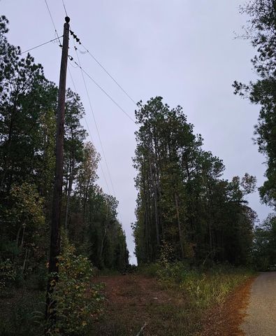 0 County Road 310, Jasper, TX 75951