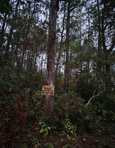 0 County Road 310, Jasper, TX 75951