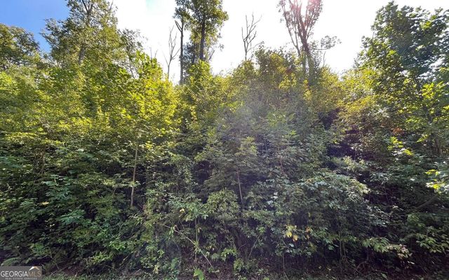 LOT 14 Mountain Harbour, Hayesville, NC 28904