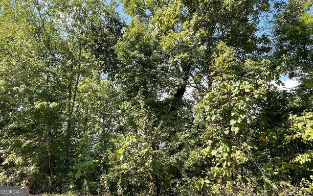 LOT 14 Mountain Harbour, Hayesville, NC 28904