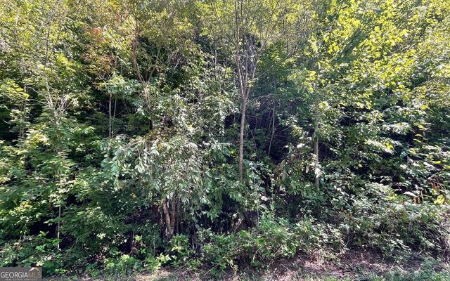 LOT 14 Mountain Harbour, Hayesville, NC 28904