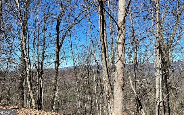 LOT 14 Mountain Harbour, Hayesville, NC 28904