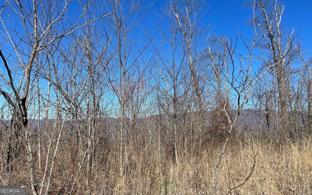 LOT 14 Mountain Harbour, Hayesville, NC 28904