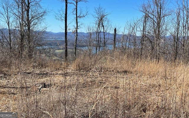 LOT 14 Mountain Harbour, Hayesville, NC 28904