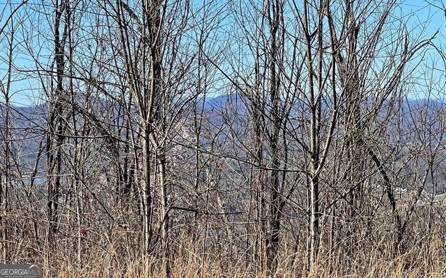 LOT 14 Mountain Harbour, Hayesville, NC 28904