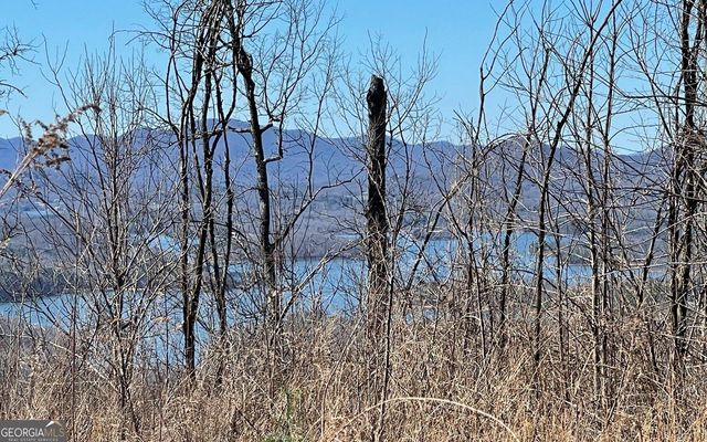 LOT 14 Mountain Harbour, Hayesville, NC 28904