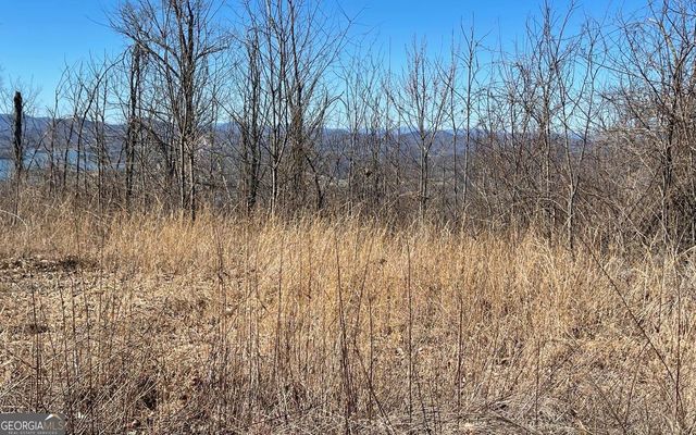 LOT 14 Mountain Harbour, Hayesville, NC 28904