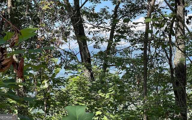 LOT 14 Mountain Harbour, Hayesville, NC 28904