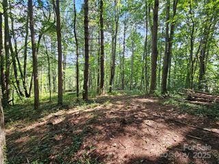 000 Dolan Road 3, Waynesville, NC 28786