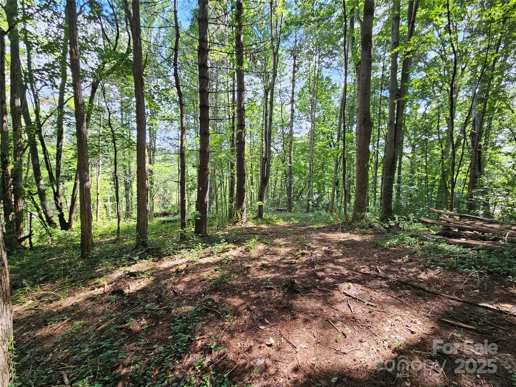 000 Dolan Road 3, Waynesville, NC 28786
